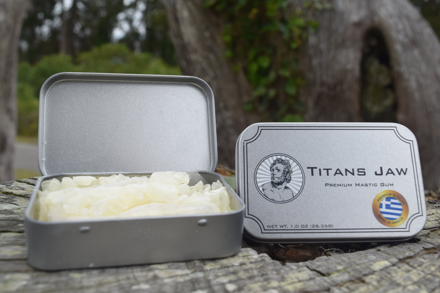 How To Chew Mastic Gum