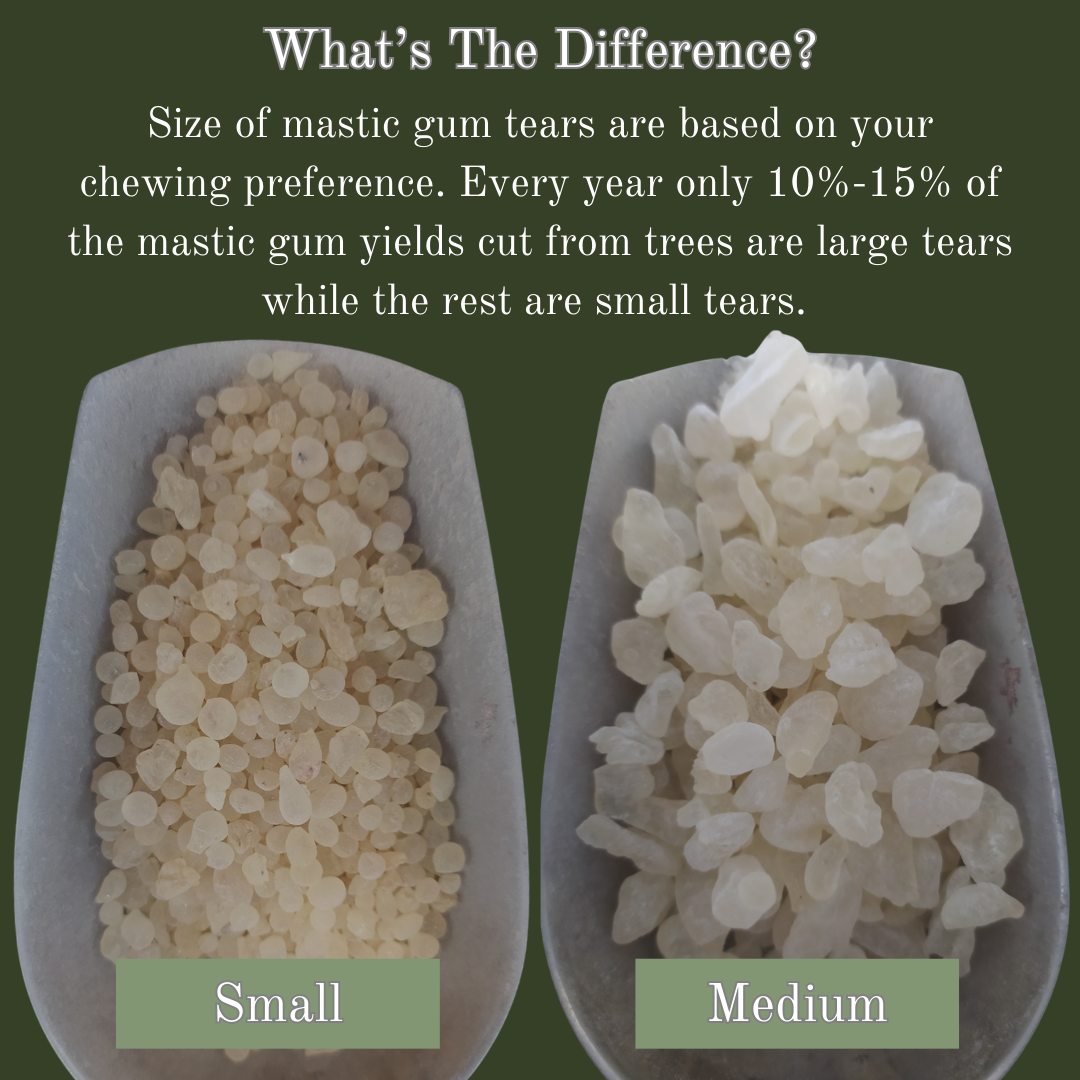 Titans Jaw Mastic Gum - Small Tears (AA Grade)