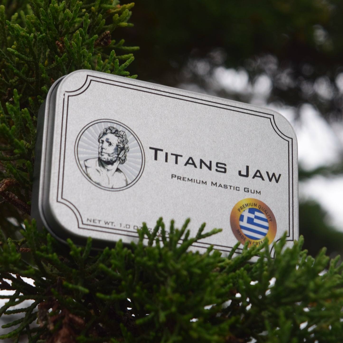 Titans Jaw Mastic Gum - Small Tears (AA Grade)